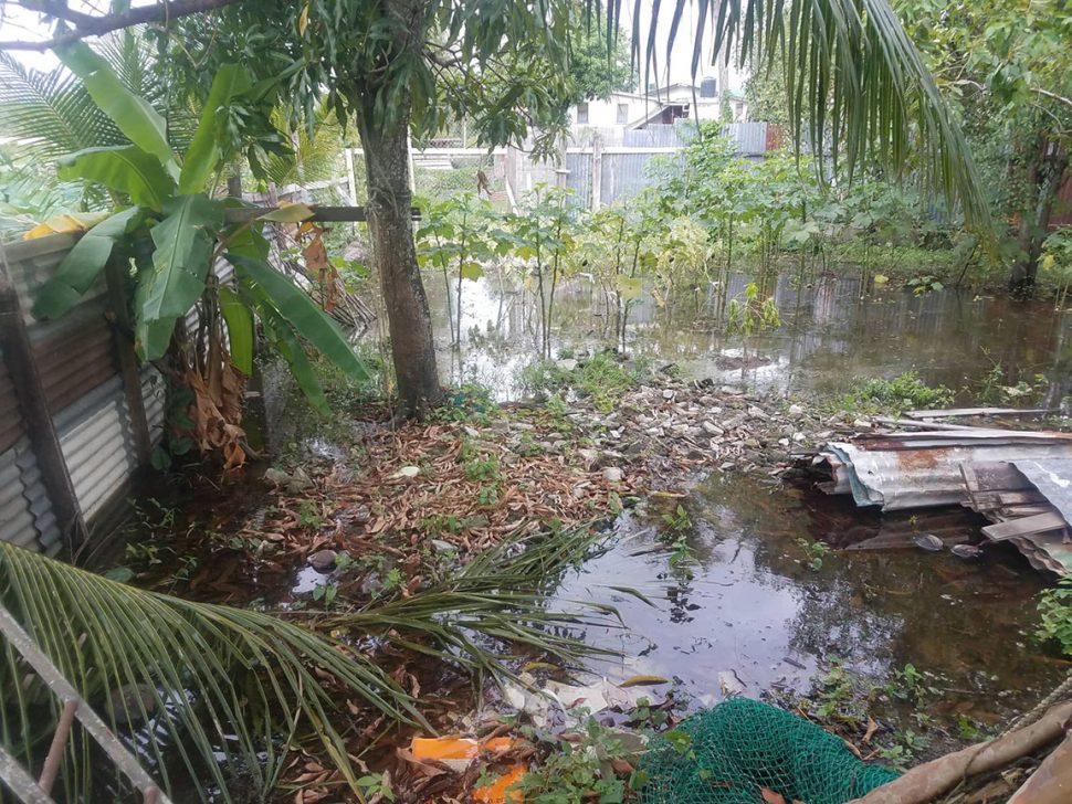 The flooded garden in the backyard of the Foo family’s residence