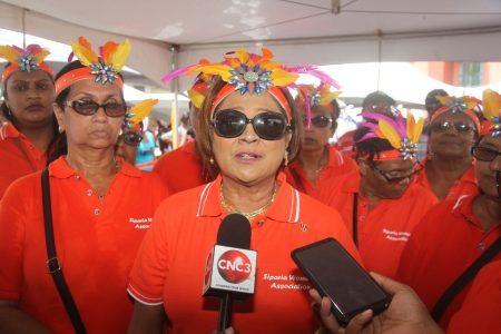 Opposition Leader Kamla Persad-Bisessar speaks to the media during the Kiddies Carnival in Penal hosted by the Siparia Women’s Association.