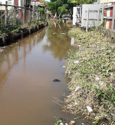 The NDC crossing drainage canal (south of old Mahaica canal) showing encroachment on shoulders (Ministry of Public Infrastructure photo)