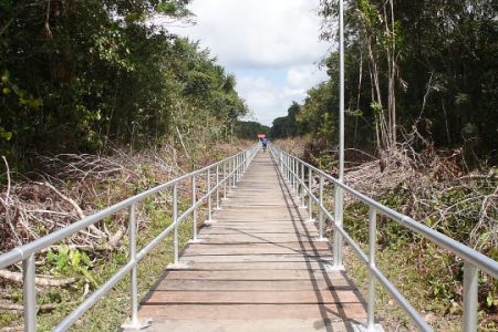 The newly constructed Bridge at Wakapoa (DPI photo)