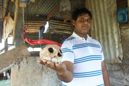 Govinda Mathura shows the sculpture he made of clay to fend off the buck from his home at Hilltop Drive, Morne Roche, Gasparillo.