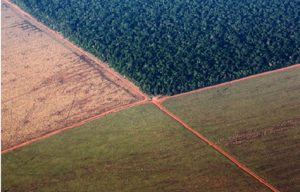 The Amazon rain forest (top), bordered by deforested land prepared for the planting of soybeans, in pictured in this aerial photo taken over Mato Grosso state in western Brazil, October 4, 2015. REUTERS/Paulo Whitaker
