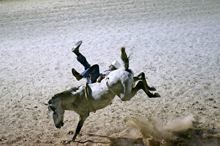 At the Rodeo: rider unseated