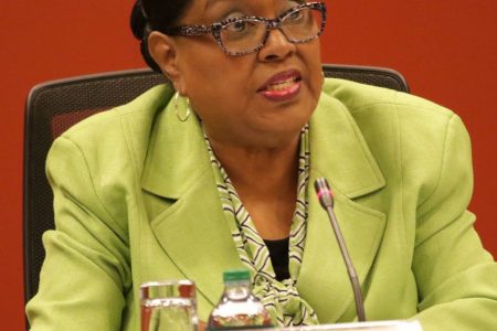 Committee Chairman Marlene McDonald speaks during the JSC on Foreign Affairs on Wednesday.