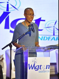 Minister of Energy Fayval Williams addresses potential investors during the Wigton Windfarm Limited’s Initial Public Offering (IPO) Investor Briefing, held at the Montego Bay Convention Centre in Rose Hall, St James on Friday.