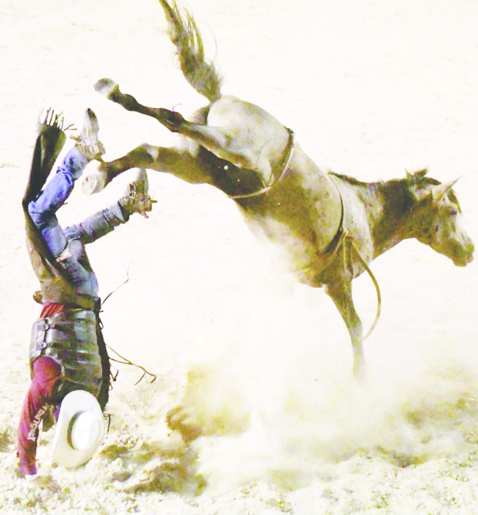 A rider takes a spectacular tumble at the Ranchers’ Rodeo (Photo by Amanda Richards)
