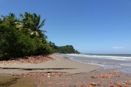 Chatham Beach in South Trinidad.