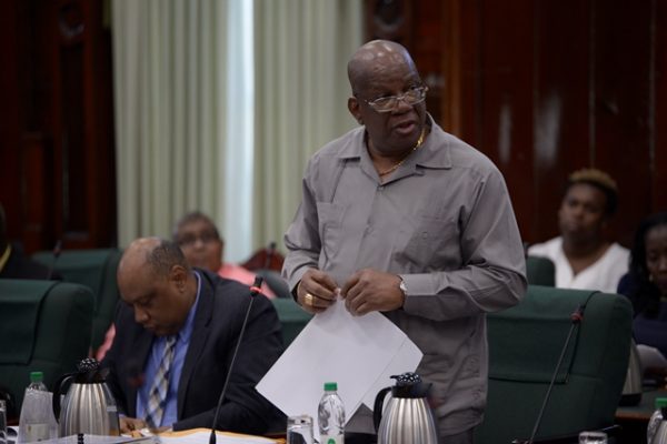 Finance Minister, Winston Jordan before the National Assembly