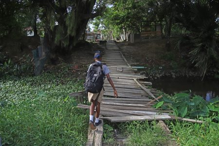 A schoolchild makes her way across the ‘A’ Field, Sophia bridge, which scores of residents traverse daily to access transport. Planks from the bridge—which crosses the Lamaha Canal, a channel quickly becoming overgrown with vegetation— have become dislocated in several places, leaving residents to balance on the main beam to get across.