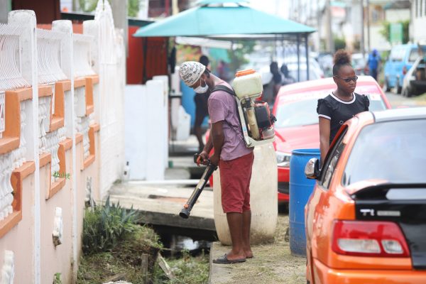 Lending a hand: After this volunteer’s sprayer suddenly shut off, the woman pictured behind rushed to restart it so as to not inconvenience him as he sprayed the canals at Louisa Row yesterday. (Terrence Thompson photo)