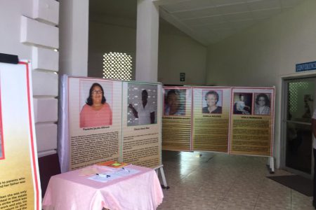 Posters depicting some of the 25 heroines and their contribution to society, which were on exhibition on Friday at the National Library.