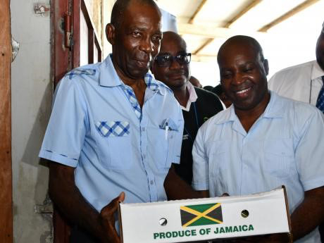Minister without Portfolio in the Ministry of Agriculture, Hon. J.C. Hutchinson (left) and Acting Permanent Secretary in the Ministry, Denton Spence (right), hold a box of mangoes that was among the first batch to be exported to the United States 
