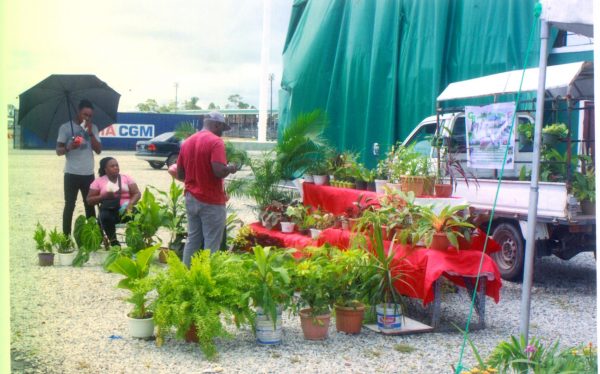 Plants are a regular feature at local Farmers’ Markets at D’Urban.
