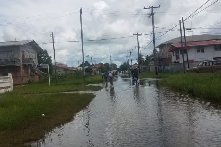 Cyclists were seen riding through the water on Blue Mountain Road, Festival City