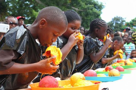 Mango eating contest at Mango Festival in Antigua and Barbuda
