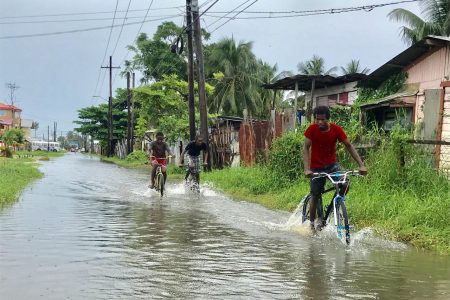 These youngsters were seen pedalling through the flooded Front Road in West Ruimveldt yesterday.