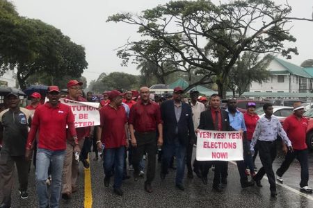 The PPP in a protest today for early elections (PPP/C Facebook page)