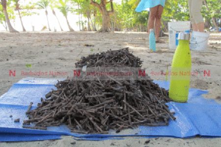 The pile of rusty nails, screws and staples, weighing more than 25 pounds, which were removed from three fire pits at Drill Hall Beach yesterday. (Picture by Heather-Lynn Evanson.)