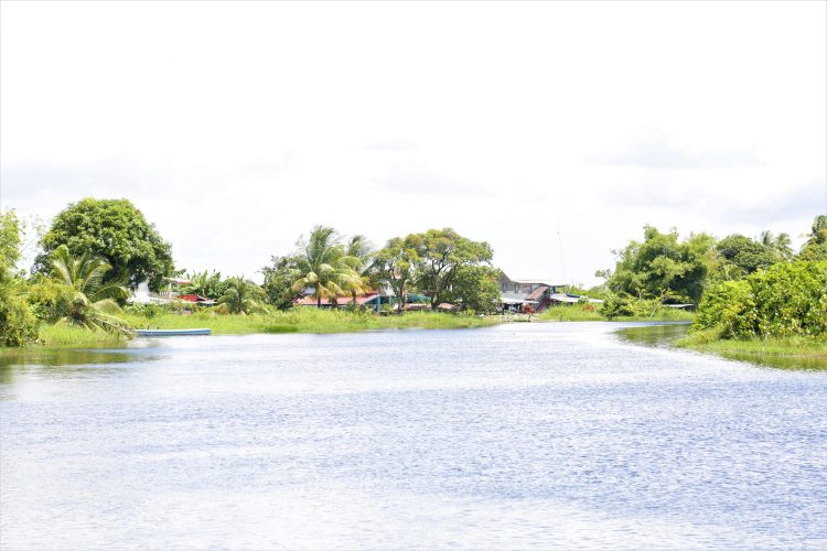 Big Biaboo homes along the Mahaica Creek