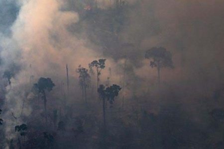One of the Amazon fires (BBC photo)