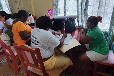 An enumerator (centre) registering a resident during a home visit. (DPI photo)