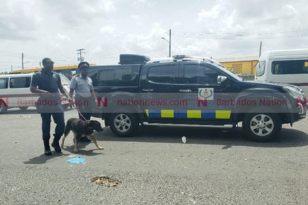 Members of the Royal Barbados Police Force, including members of the Canine Unit, on the scene of the stabbing earlier today.