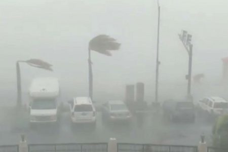 Category-1 strength winds bend palm trees as Hurricane Dorian slams into St. Thomas, U.S. Virgin Islands August 28, 2019 in this still image taken from social media video. Cassandra Crichlow via REUTERS