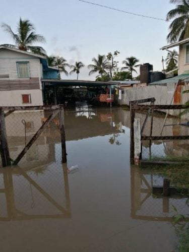 A deeply flooded yard (DPI photo) 