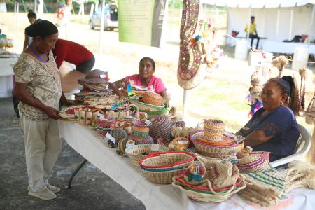 A section of the display at this year’s Amerindian Heritage Month product display and sale at the Sophia Exhibition site