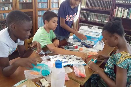 Across-the-board access: activity at a STEM club at the New Amsterdam Library