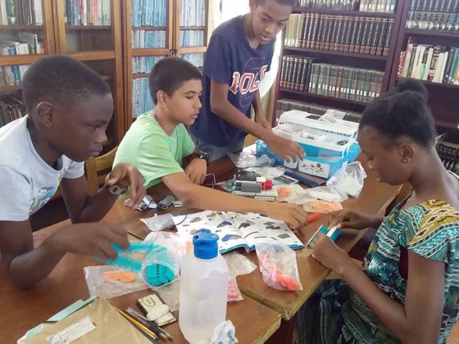 Across-the-board access: activity at a STEM club at the New Amsterdam Library