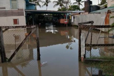 A flooded West Demerara yard (Department of Public Information photo)