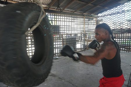 Keeve Allicock was caught whipping his body into shape yesterday at the Harpy Eagles Gym for his September 28 meeting with exciting prospect Joel Williamson at D’Urban Park.

