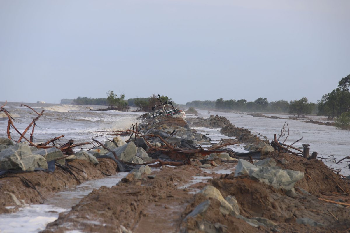 A section of the washed away mangrove defence.