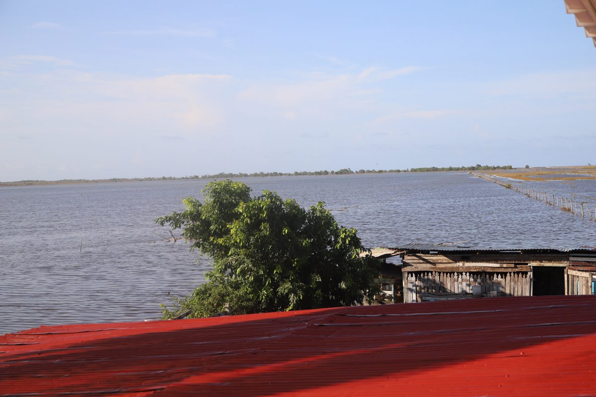 A view of the approximately 800 acres of rice land owned by Khemwantia Jorree which were affected following the tide. (Terrence Thompson photo)
