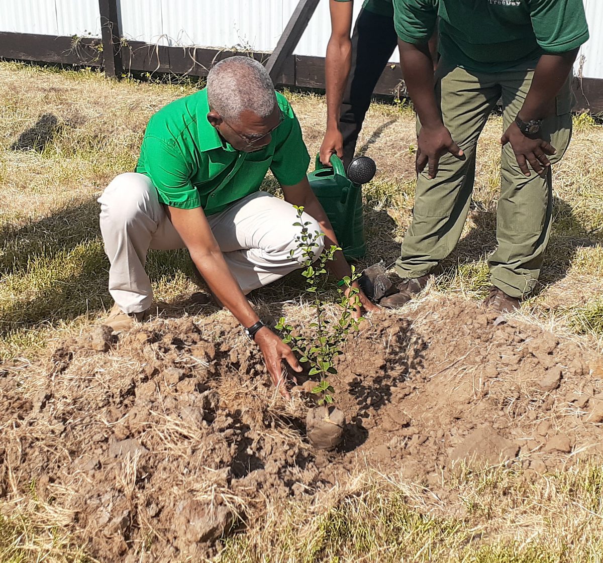 President David Granger planting the first tree at the National Tree Day 2019 observance at Union Village, Corentyne yesterday. [Bebi Oosman photo) 