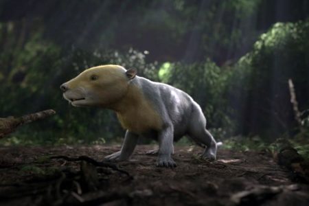 The ancient Taeniolabis mammal, which lived in the aftermath of the mass extinction that wiped out the dinosaurs 66 million years ago, is depicted in a CGI rendering in the PBS Nova Special, Rise of the Mammals. (HHMI Tangled Bank Studios/Handout via REUTERS.)