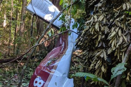 A part of the Piper PA-31 aircraft that crashed yesterday (GDF Photo)