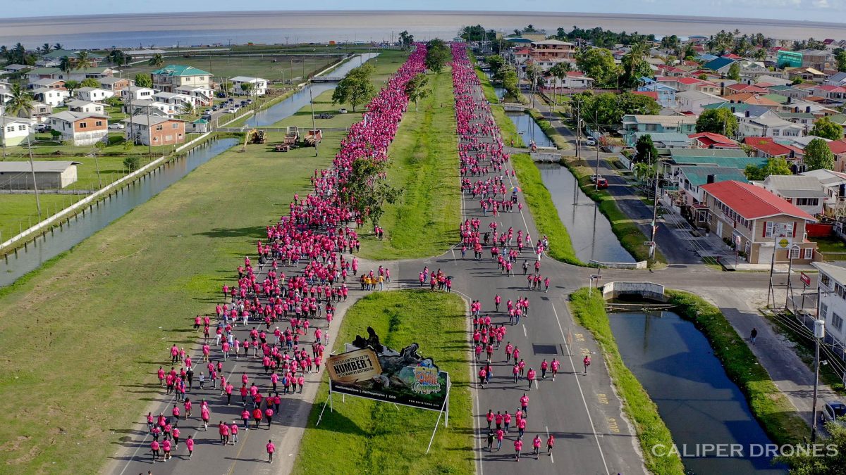 An overhead view of the GTT Pinktober 10K Walk and Run participants making their way towards the seawall (Photo courtesy of Caliper Drones)