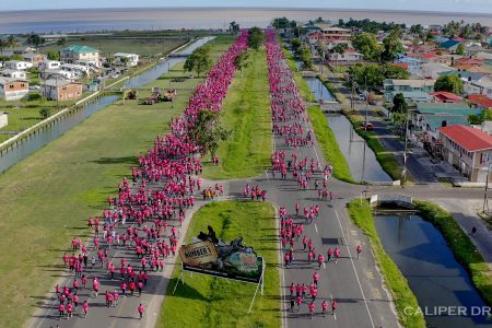 An overhead view of the GTT Pinktober 10K Walk and Run participants making their way towards the seawall (Photo courtesy of Caliper Drones)