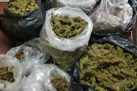 The 1,350 grammes of cannabis that police discovered at Soesdyke (Guyana Police Force photo) 