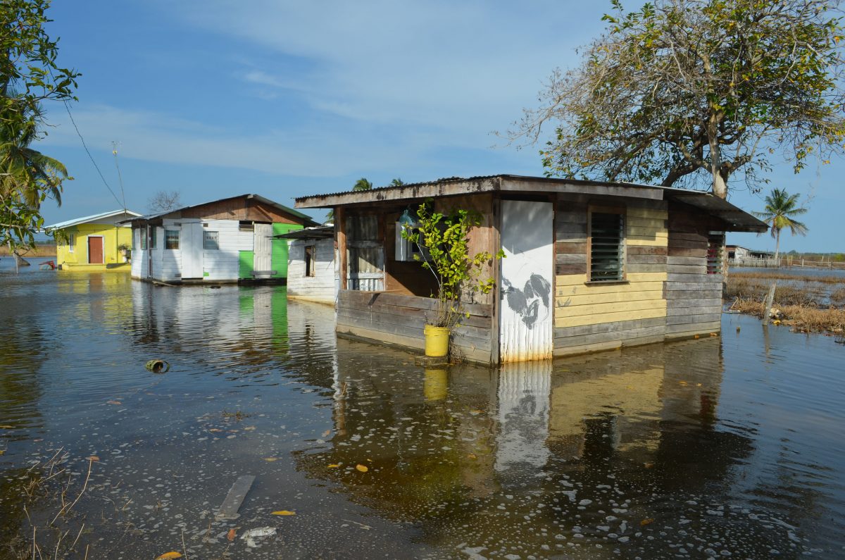 A flooded residential yard at Harmony Hall (Photo by Orlando Charles)