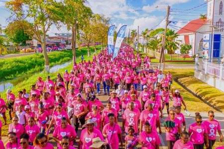 Participants in the recent GTT Pinktober Walk/Run event, which was part of a month of activities intended to raise funds for the company. (GTT photo)
