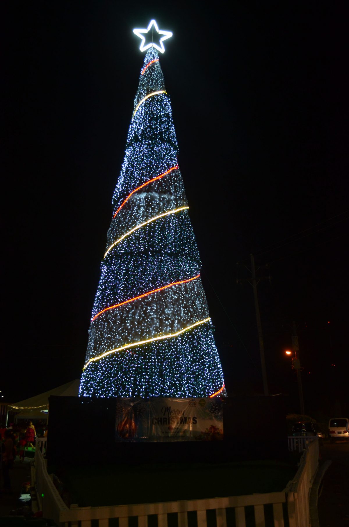 The Rahaman’s Park Christmas tree after last Friday’s lighting (Photo by Orlando Charles)