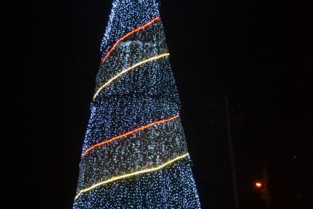 The Rahaman’s Park Christmas tree after last Friday’s lighting (Photo by Orlando Charles)