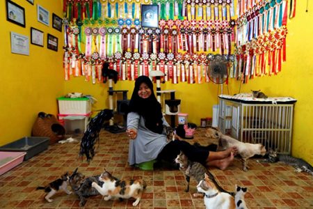Dita Agusta, 45, owner of a cat shelter called “Rumah Kucing Parung”, plays with her cats in Bogor, West Java province, Indonesia December 23, 2019 (REUTERS/Willy Kurniawan photo)
