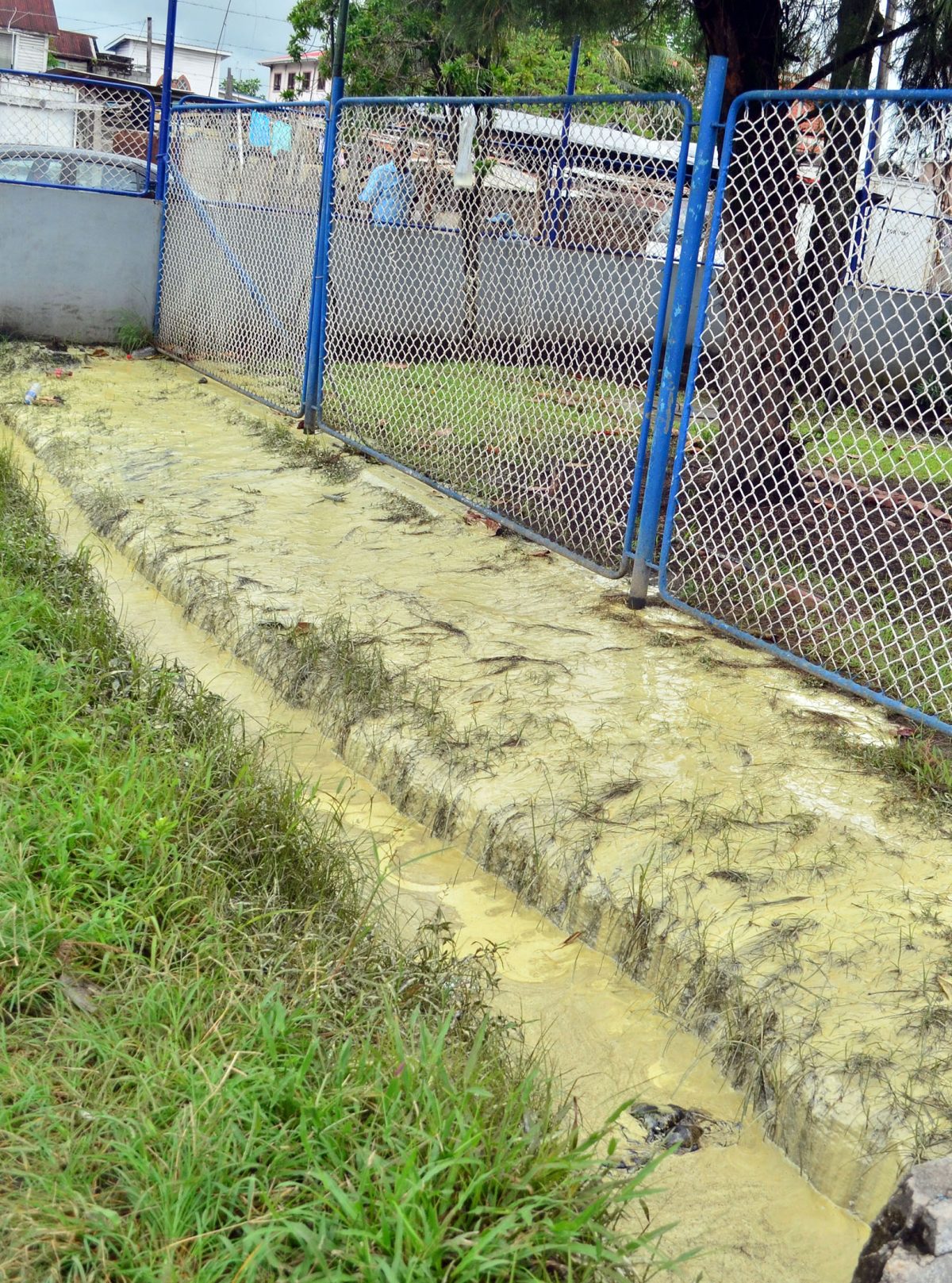A drain at the GNIC compound filled with the chemical (Orlando Charles photo)