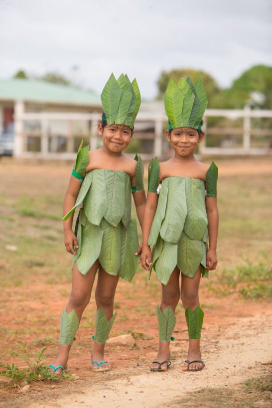 International Year Of The Indigenous Languages Stabroek News