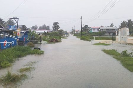 A flooded business place on the Essequibo Coast