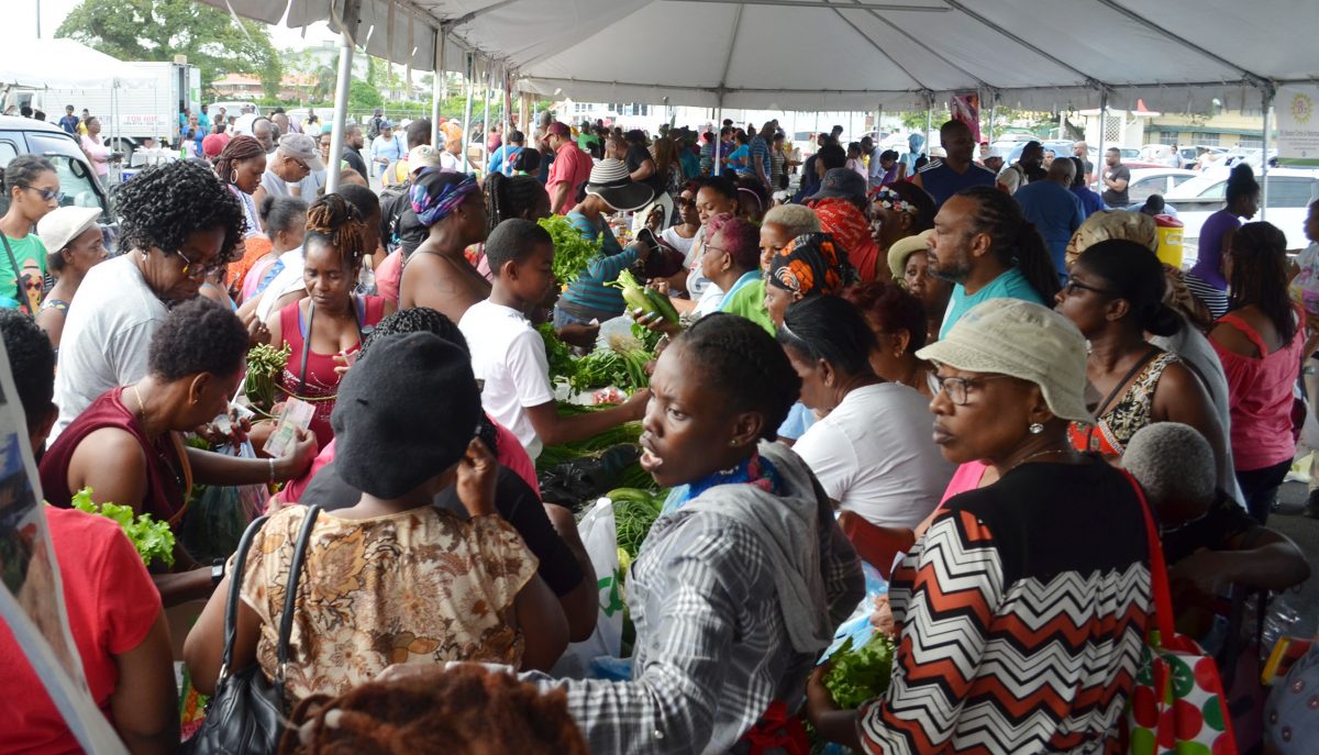  The crush at yesterday’s Guyana Marketing Corporation’s  D’Urban Park Farmers’ Market. (Orlando Charles photo)
